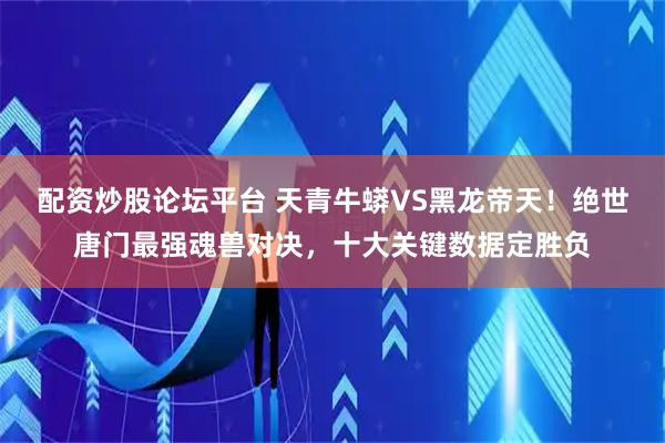 配资炒股论坛平台 天青牛蟒VS黑龙帝天！绝世唐门最强魂兽对决，十大关键数据定胜负