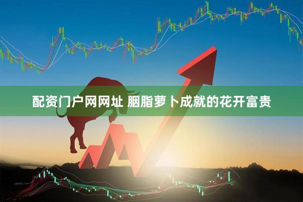 配资门户网网址 胭脂萝卜成就的花开富贵