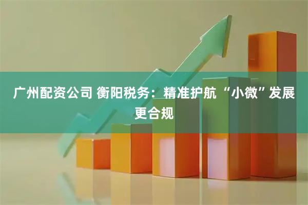 广州配资公司 衡阳税务：精准护航 “小微”发展更合规